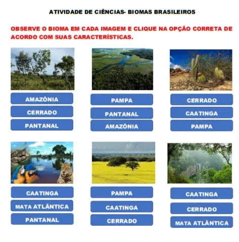 alternativas biomas