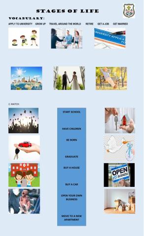 Stages of life