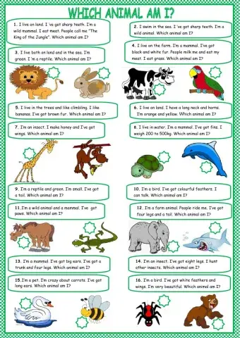 ARZENO WINTER HOMEWORK LEVEL 4 - page 2