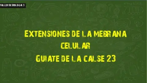 Extensión de la mebrana