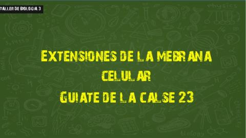 Extensión de la mebrana