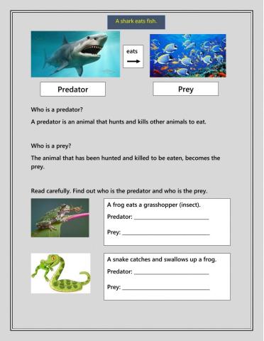 Prey - Predators (Animals)