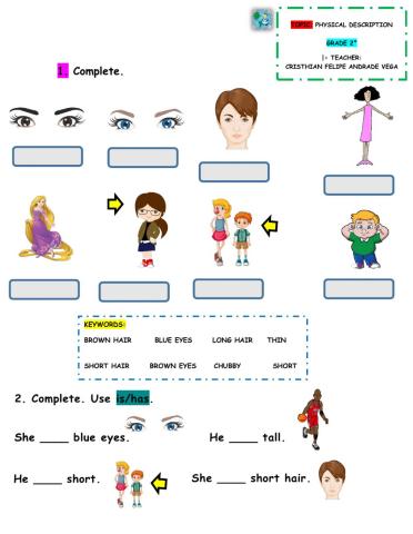 Physical Description