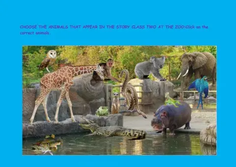 Class Two at the Zoo