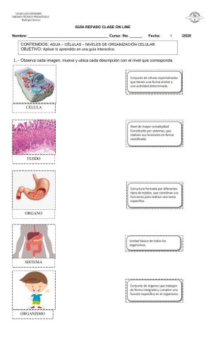 Niveles de organización biológica