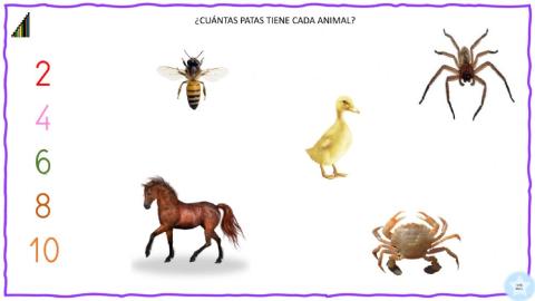 ¿Cuántas patas tiene cada animal?