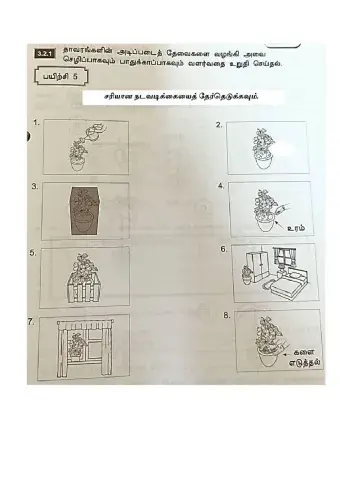 தாவரங்களின் அடிப்படைத் தேவைகள்