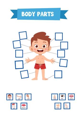 Body Parts