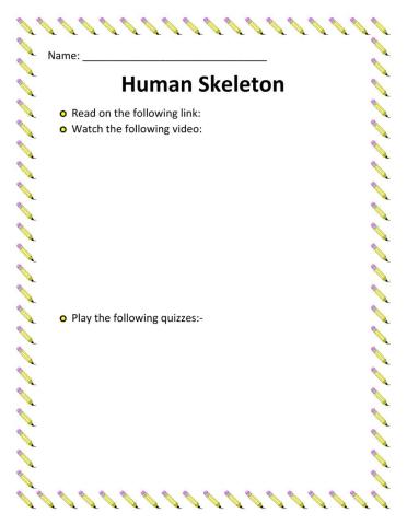 Human Skeleton