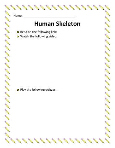 Human Skeleton