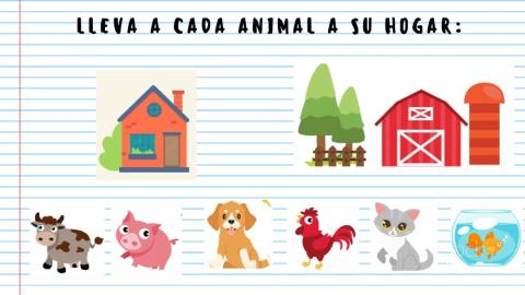Cada animal a su hogar