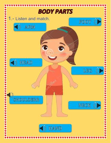 Body Parts