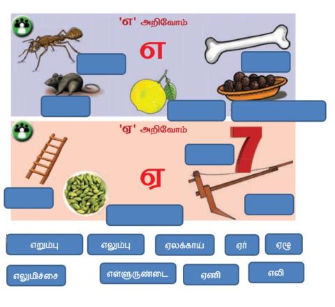 Tamil-படம் பார்த்து பெயரை பொருத்து - PGNO 36