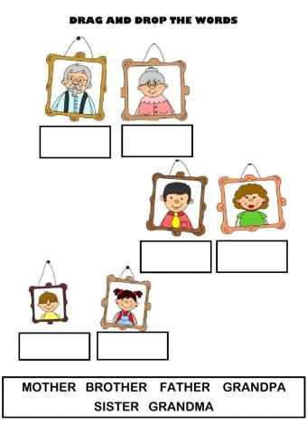 Family members - DRAG & DROP
