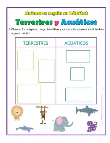 Animales y sus hábitats