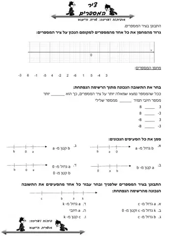 ציר המספרים