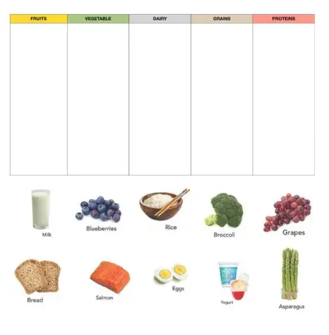 5 food groups matching activity