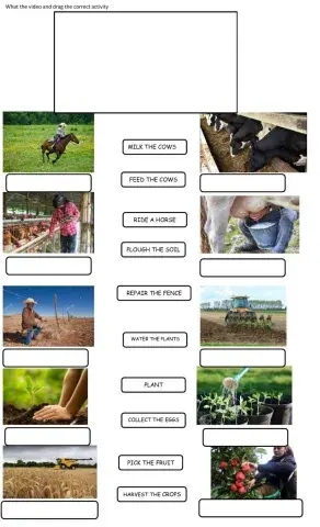 The city and the country