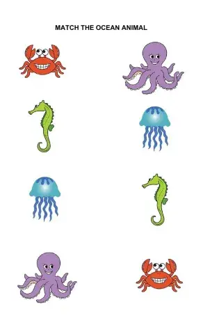 Match the ocean animals