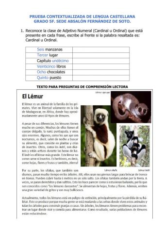 PRUEBA CONTEXTUALIZADA LENGUA CASTELLANA