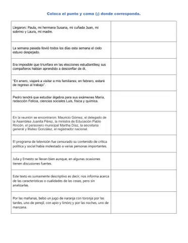 Uso del punto y coma