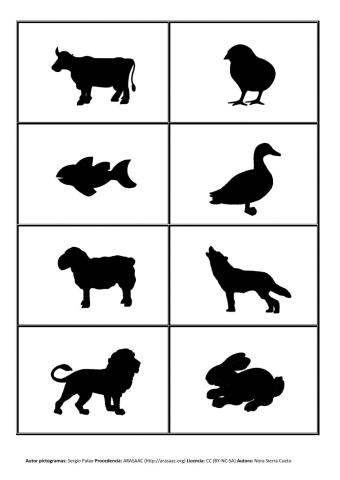 Discriminación visual