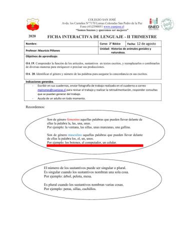 Los artículos, género y número