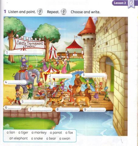 Unit 6: Wild Animals