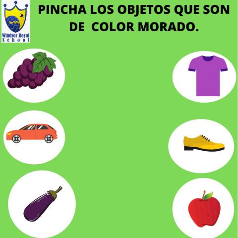 Identifico el color morado