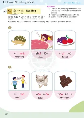 L12 Pinyin WB Assignment 1