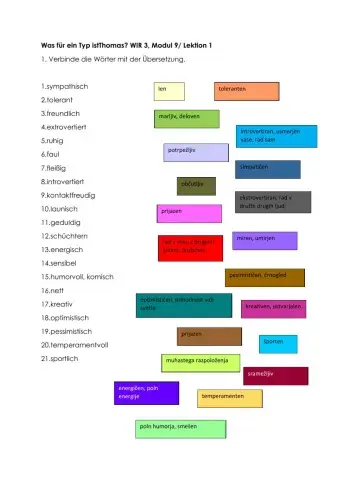 Was für ein Typ ist Thomas? Wir 3 Wortschatz Übungen