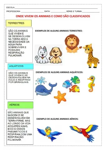 Onde vivem os animais e como são classificados