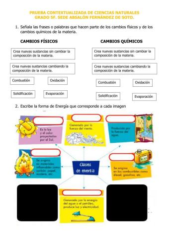 PRUEBA CONTEXTUALIZADA CIENCIAS NATURALES