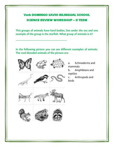 Science workshop ii term