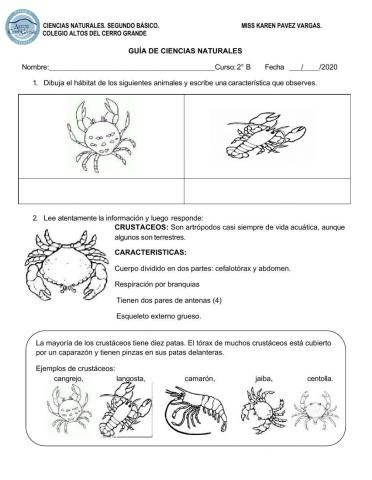 Guía ciencias naturales
