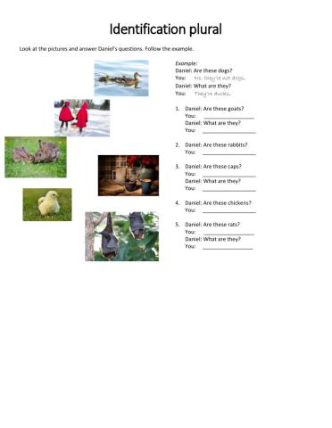 Identification Plural