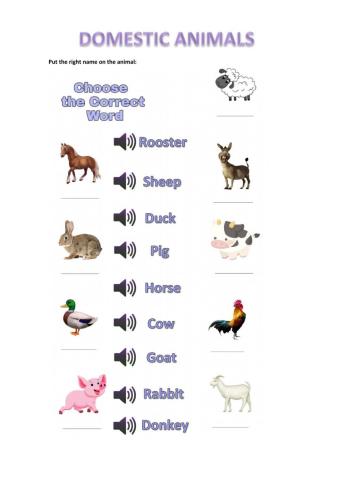 Domestic Animals