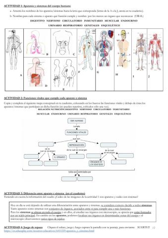 Repaso: Aparatos y sistemas del cuerpo humano
