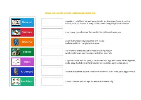 Living Things Vocabulary