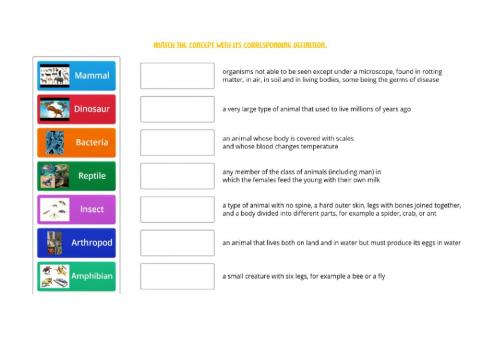 Living Things Vocabulary