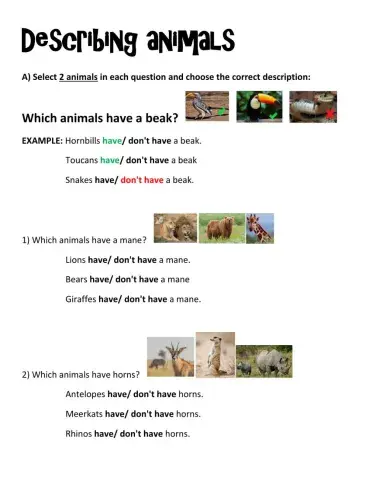 Describing animals