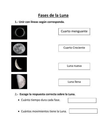 Fases de la Luna