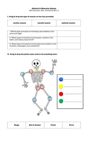Skeletal & Muscular system