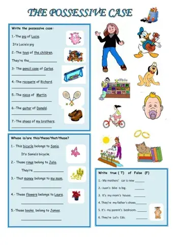 POSSESSIVE CASE test