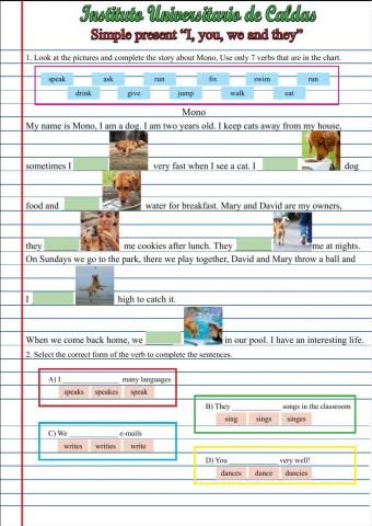 Simple present I, you, we and they