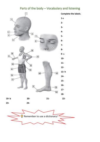 Parts of the Body - Vocabulary