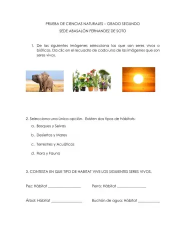 Seres abióticos y bióticos