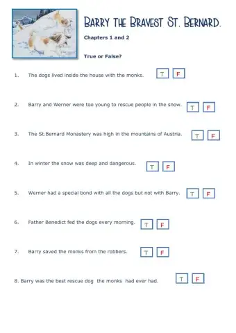 Barry the Bravest St. Bernard