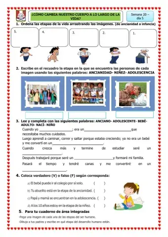 ¿Cómo cambia nuestro cuerpo a lo largo de la vida?