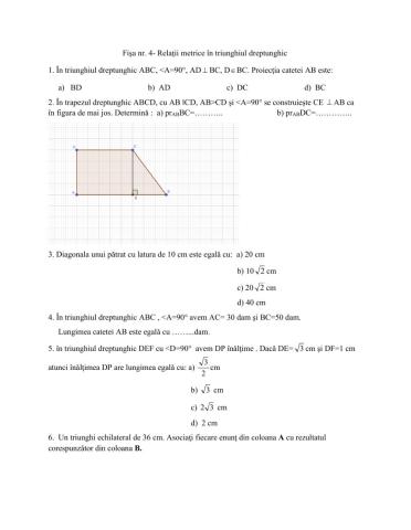 Fisa- relatii metrice in triunghiul dreptunghic